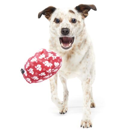 White Smellephant Durable Super Chewer 2-in-1 Rip and Reveal Dog Toy - Image 6