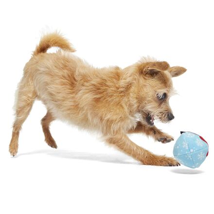 Wripping Pupper Ball Durable Super Chewer 2-in-1 Rip and Reveal Dog Toy - Image 4