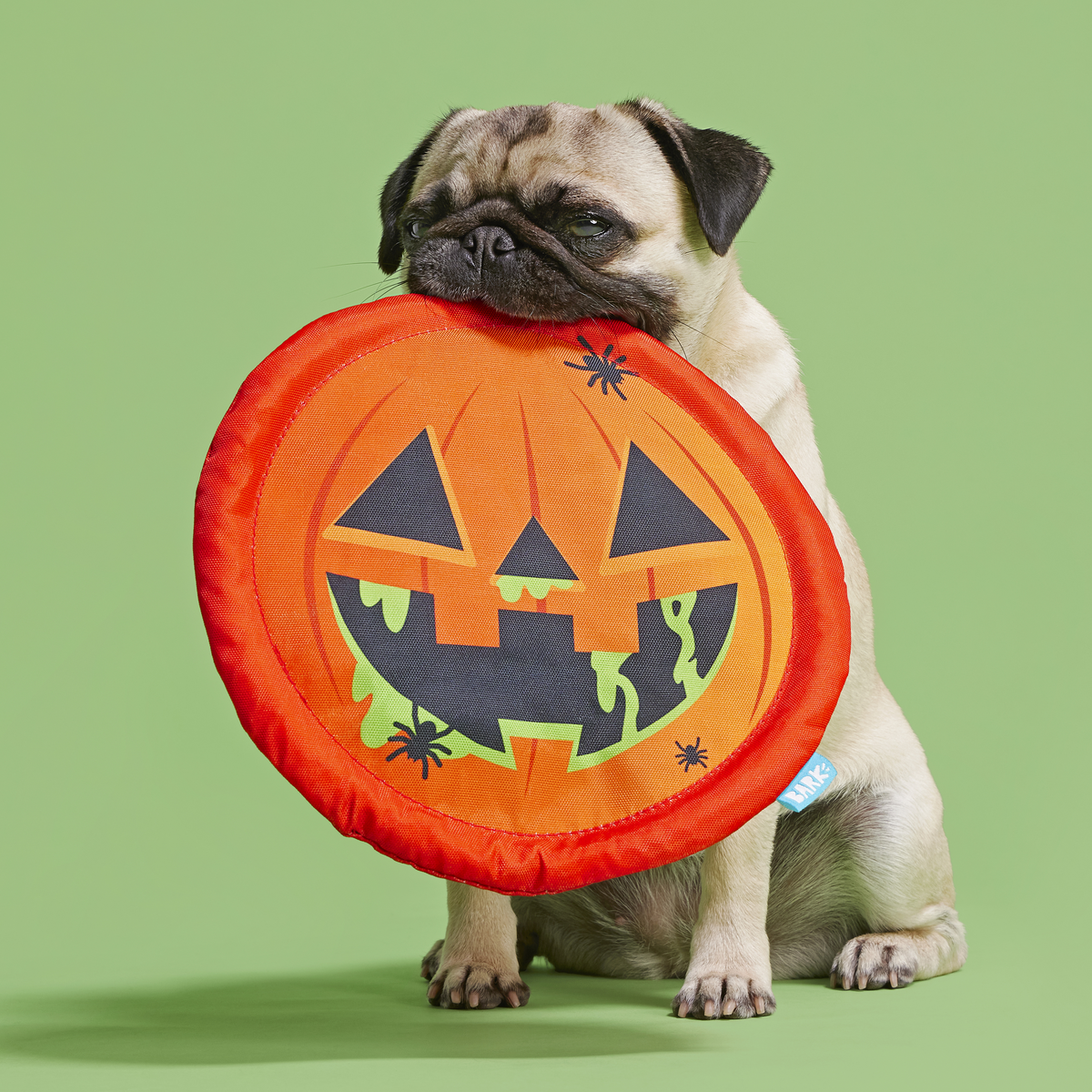 Jack-Throw-Lantern Plush Fetch Dog Toy - Image 2