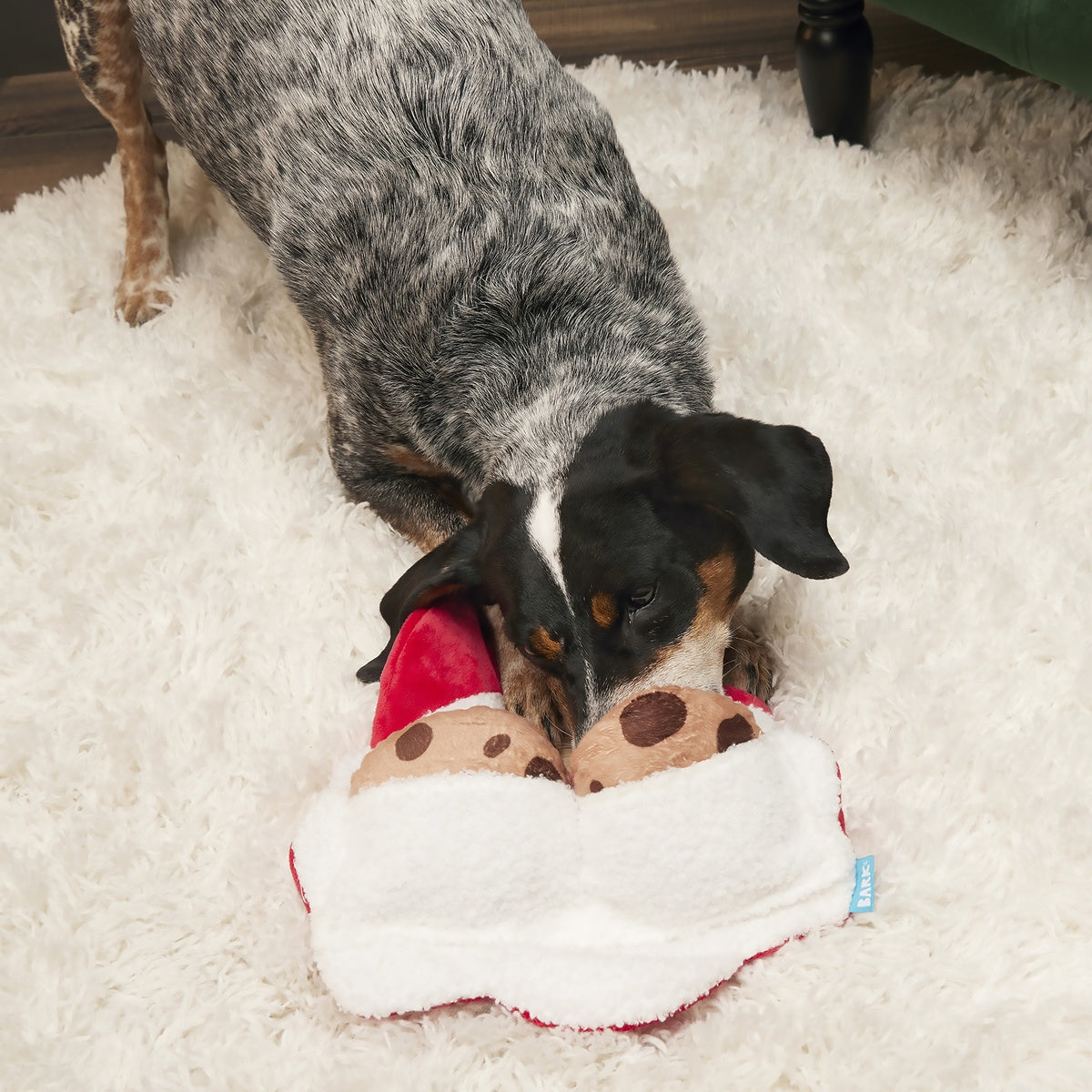 Kris Krumble Plush Enrichment + Multi-Part Dog Toy - Image 5