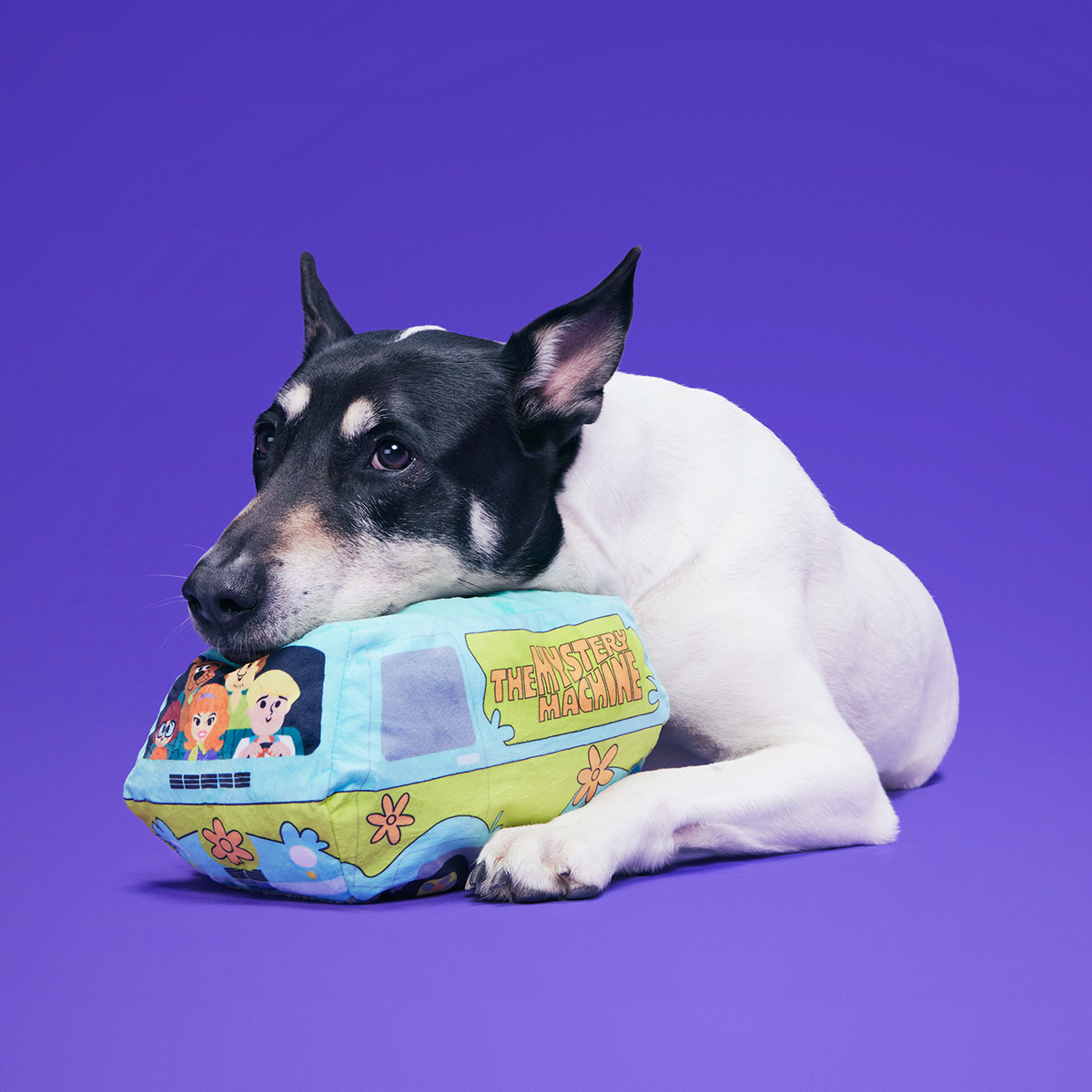 Howloween Mystery Machine™ Plush Multi-Part + Enrichment Dog Toy - Image 3