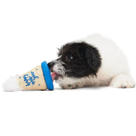Chew Years Party Hat Durable Super Chewer Enrichment Dog Toy - Image 4