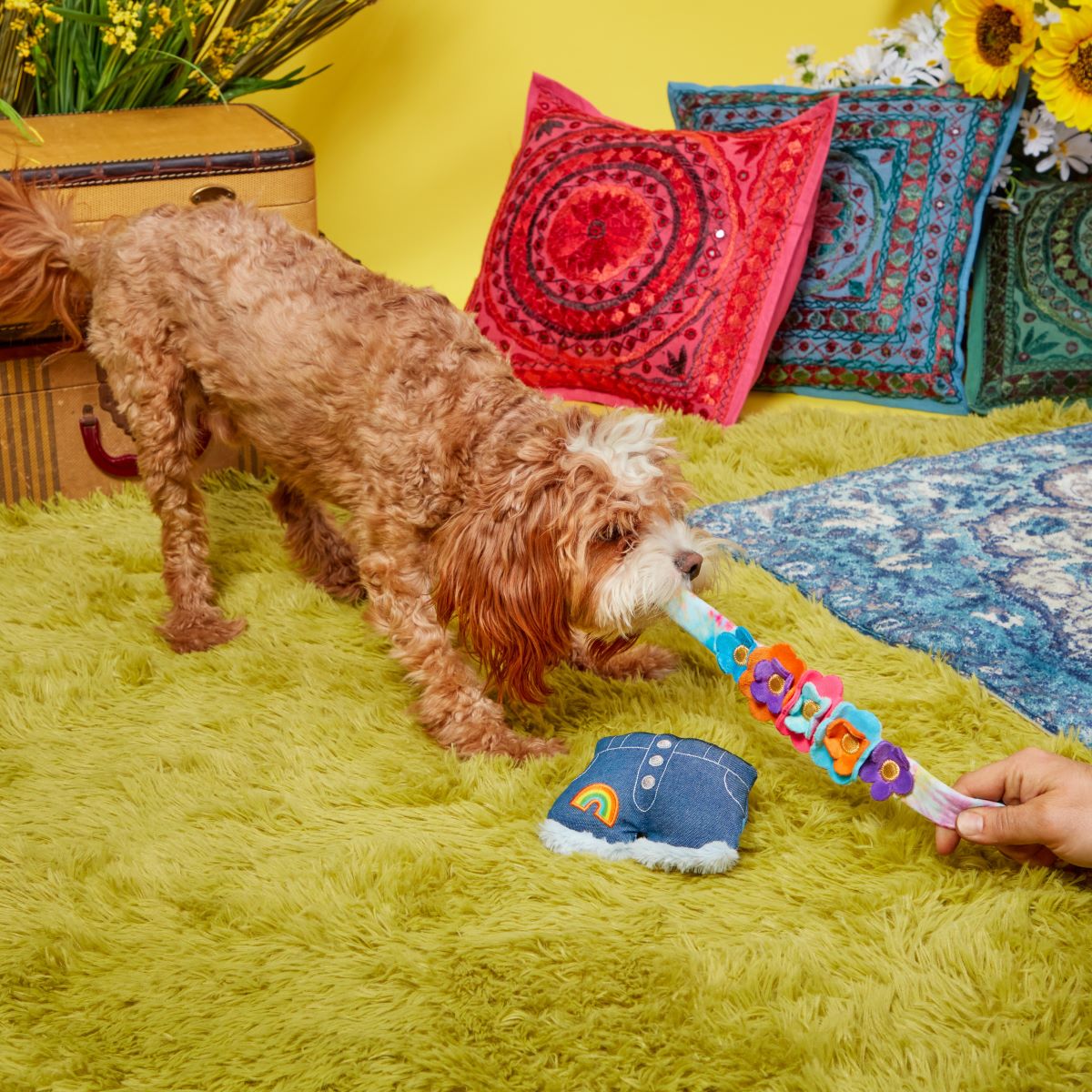 Grrroovy Threads Plush Multi-Part + Wearable Dog Toy - Image 4