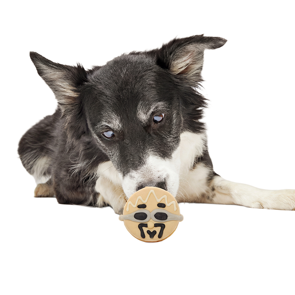Frosted Tips Barkery Dog Cookie Vegetarian. 1.8 oz - Image 2