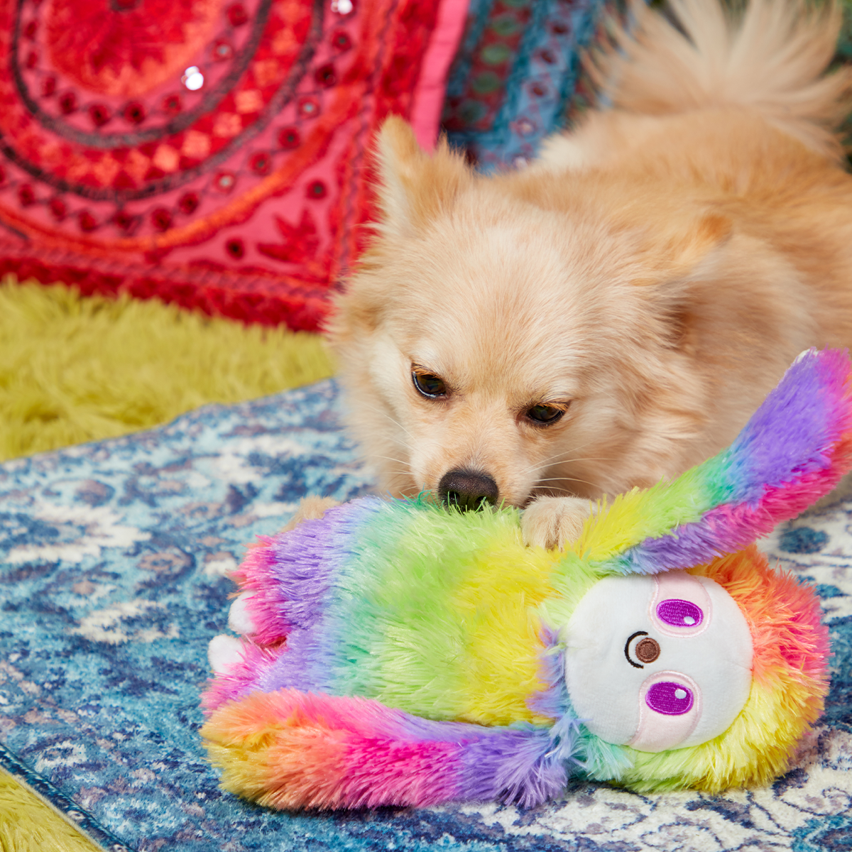 Hairy Garcia Plush Tug Dog Toy - Image 4