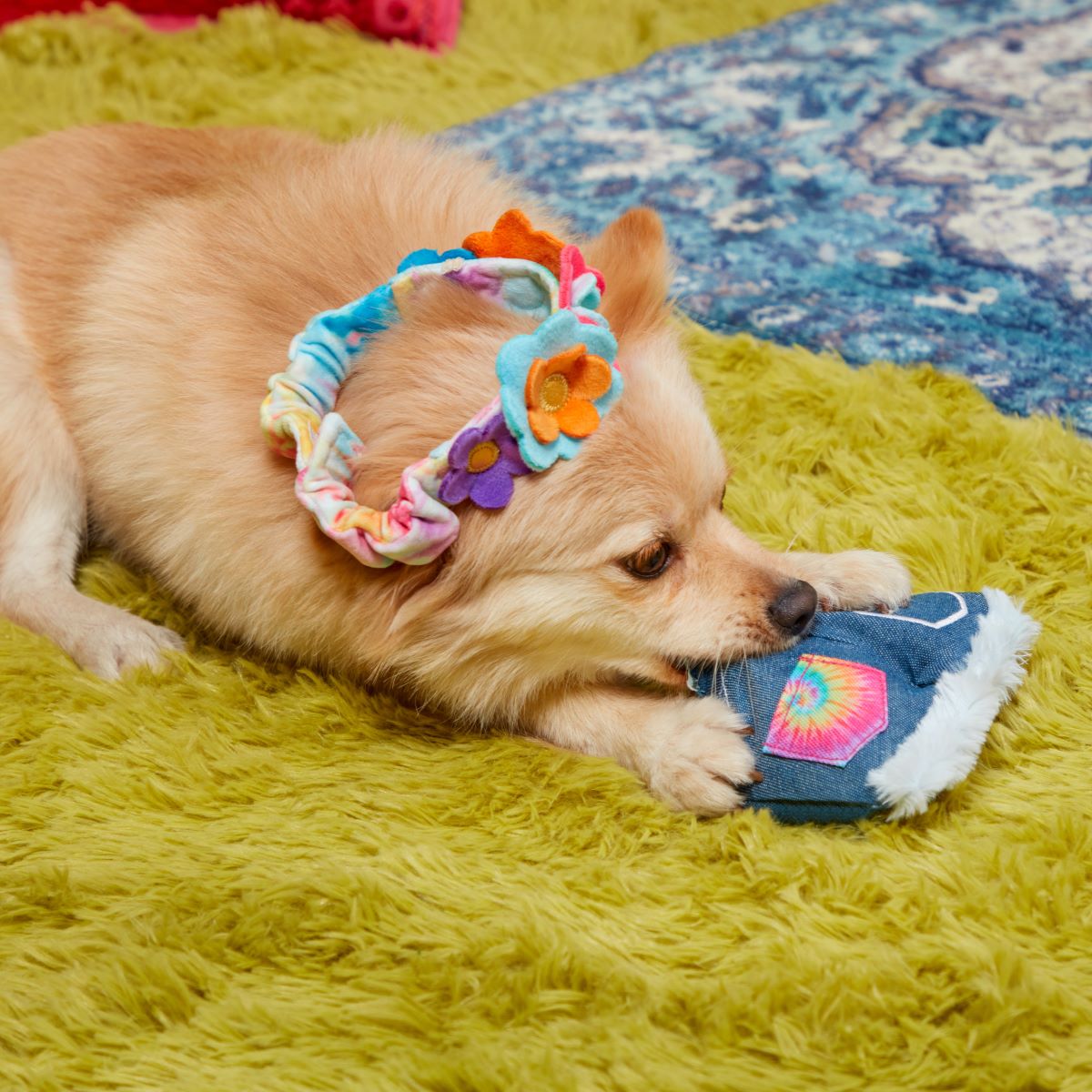 Grrroovy Threads Plush Multi-Part + Wearable Dog Toy - Image 3