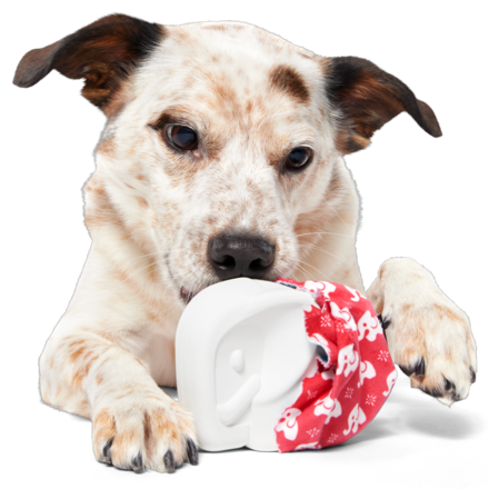 White Smellephant Durable Super Chewer 2-in-1 Rip and Reveal Dog Toy - Image 4
