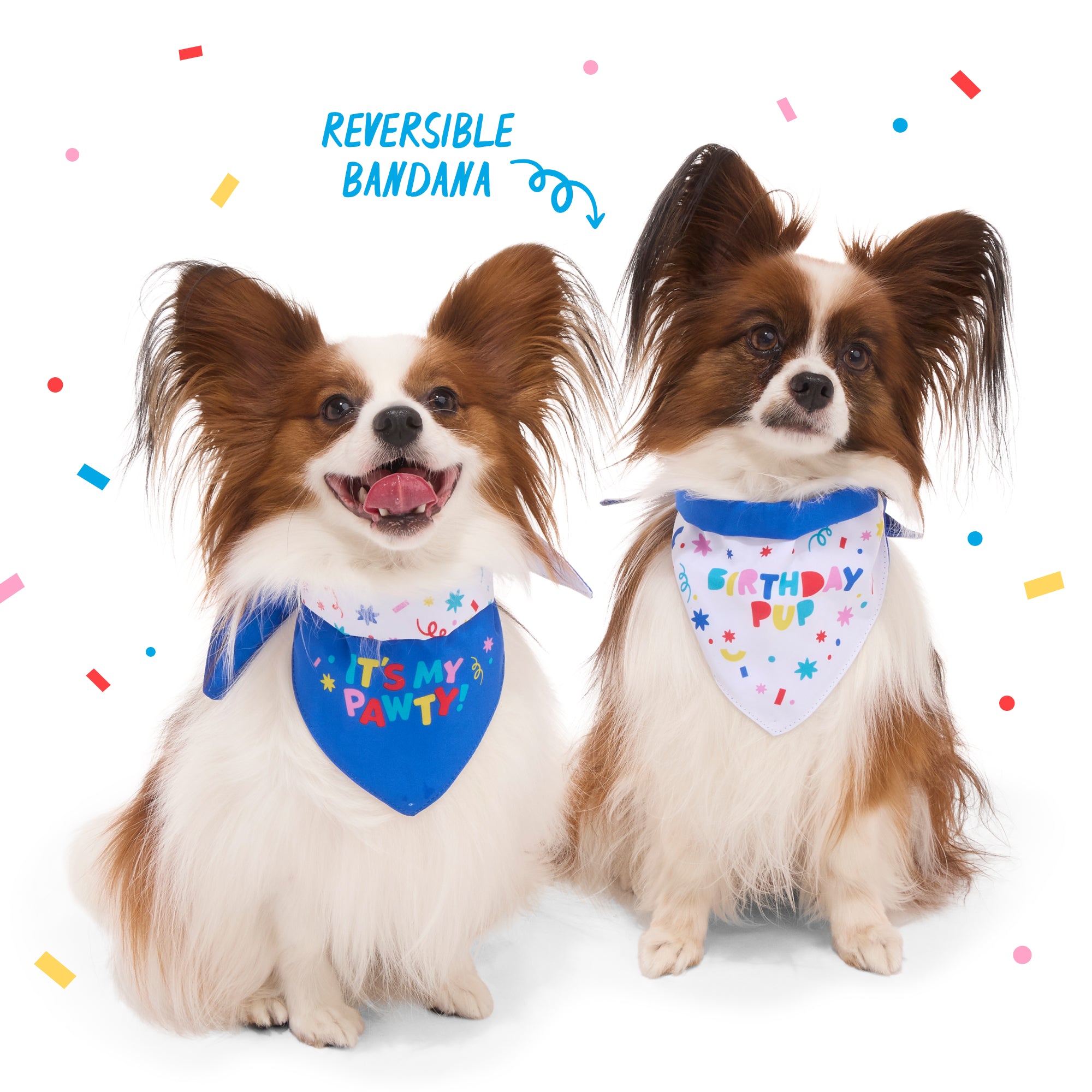 Birthday Super Chewer Gift Box - Image 5