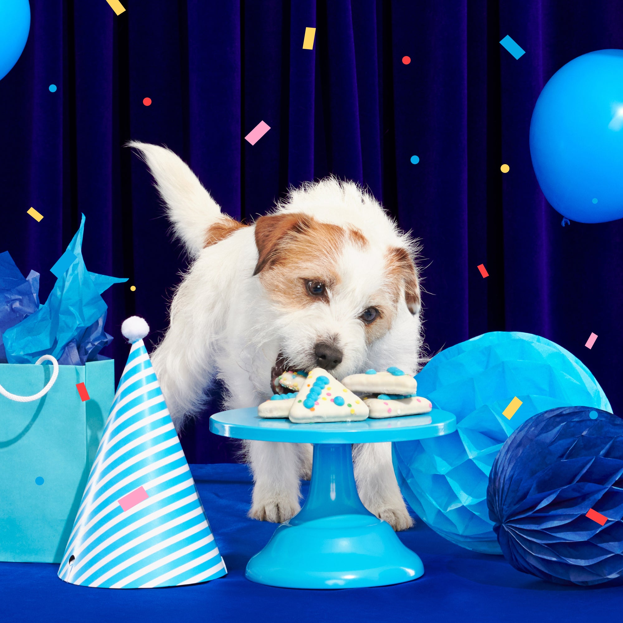 Birthday Super Chewer Gift Box - Image 7