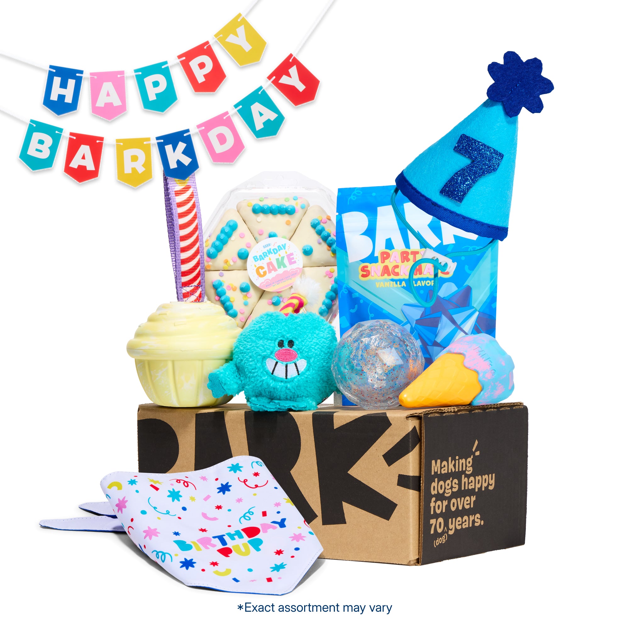 Birthday Super Chewer Gift Box - Image 11
