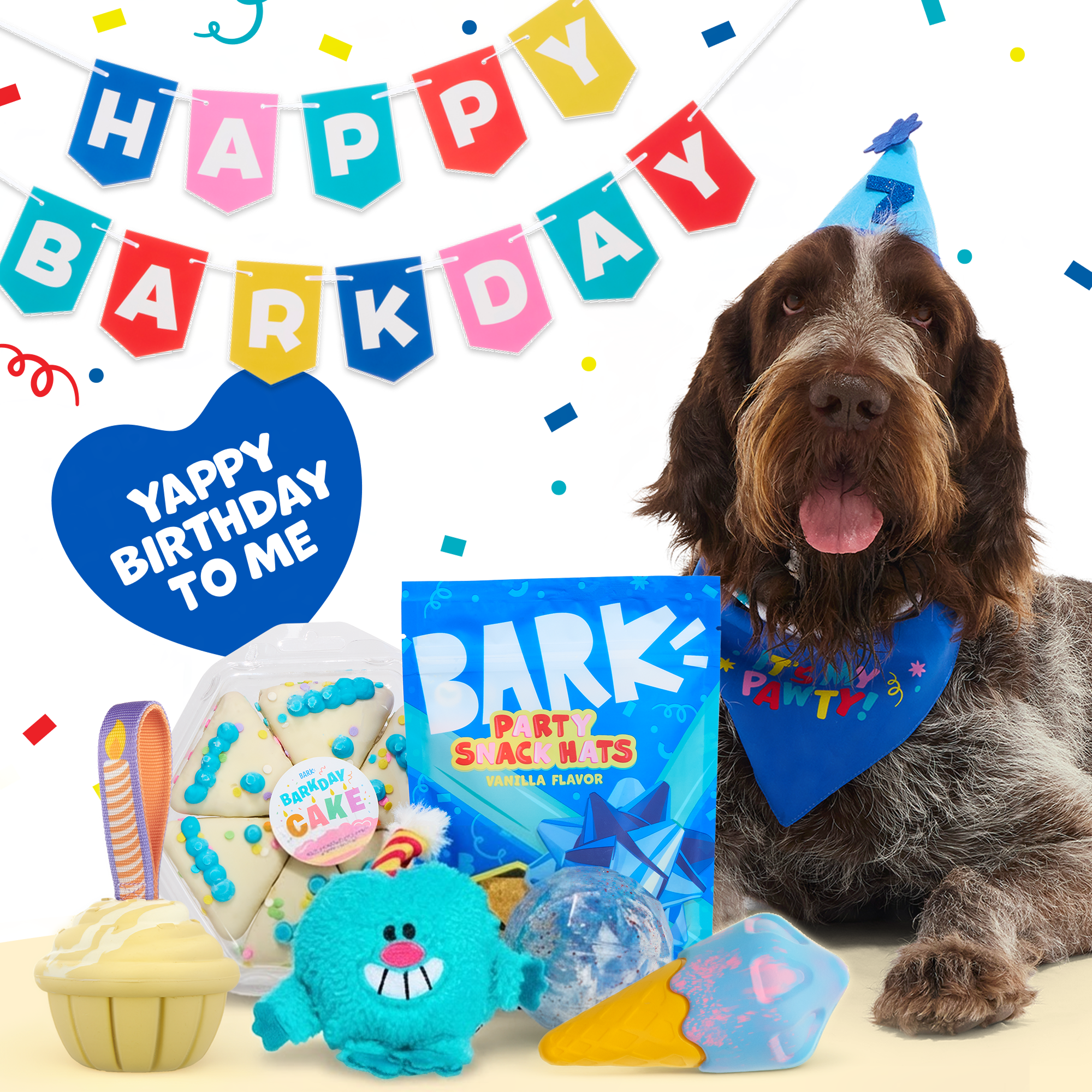 Birthday Super Chewer Gift Box - Image 13