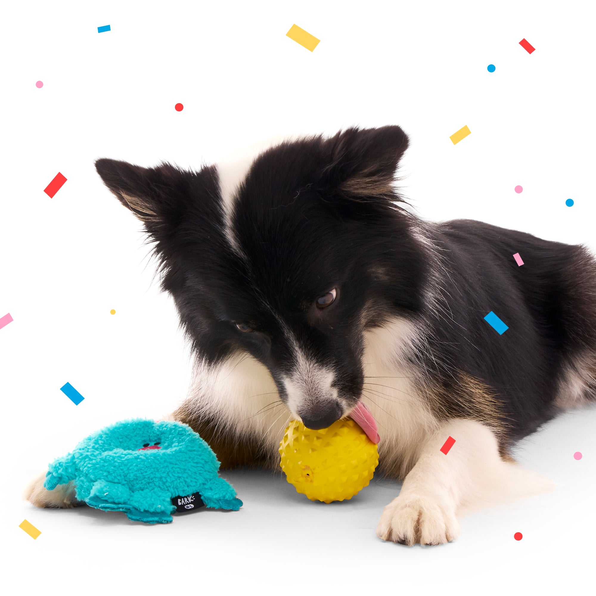 Birthday Super Chewer Gift Box - Image 10