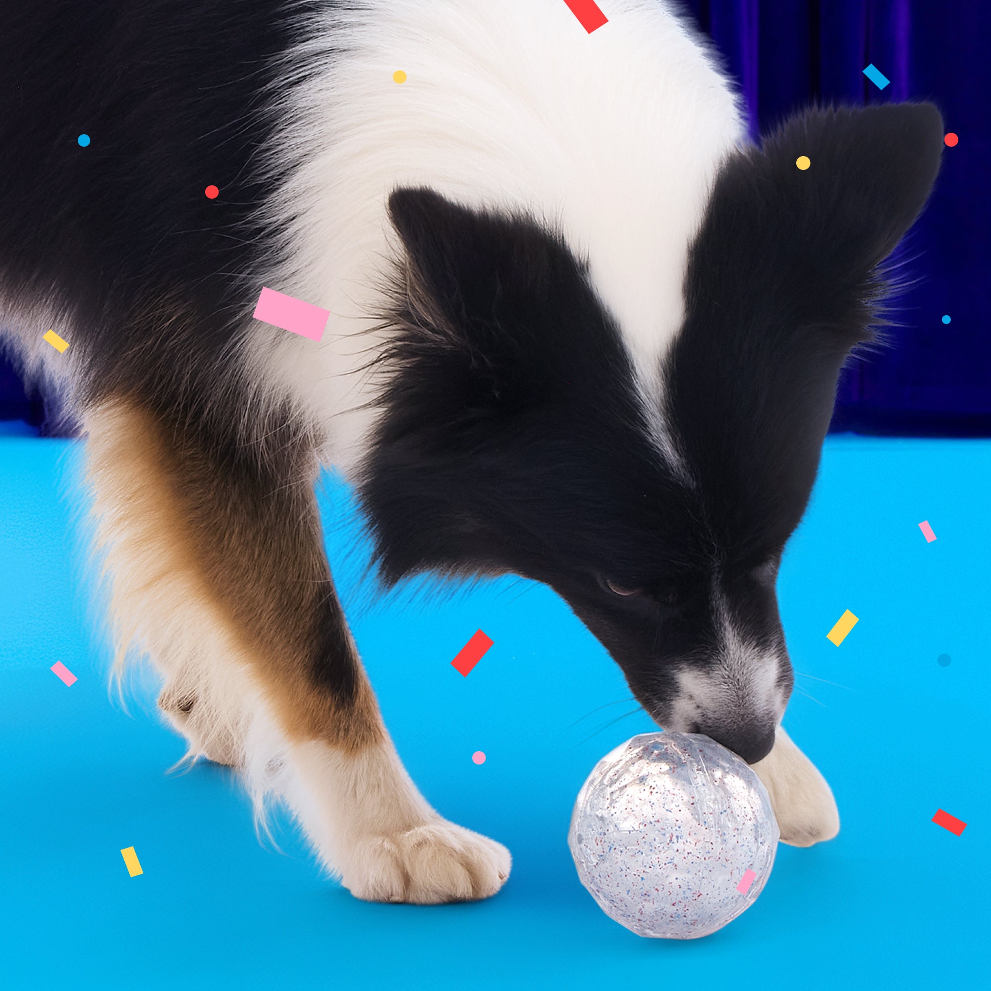 Birthday Super Chewer Gift Box - Image 12