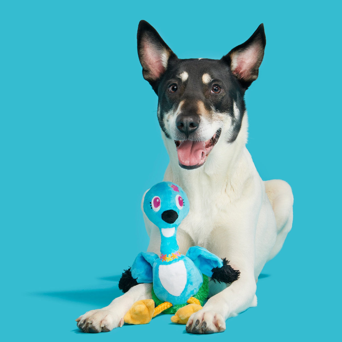 Lele the Nene Goose Plush Tug + Extra-Large Dog Toy - Image 5