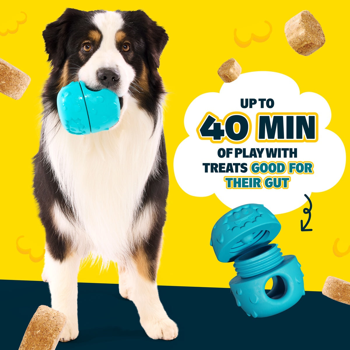 Licksters: Starter Kit (Toy + 2 Treat Sample Pack) - Image 9