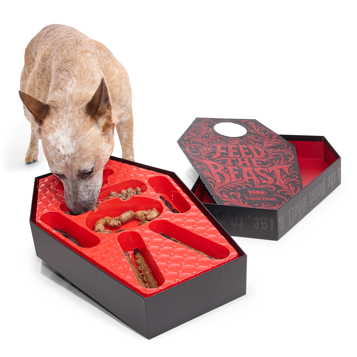 BARK x Liquid Death Feed the Beast Consumables Packup - Image 9
