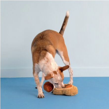 Chester's Nuts Plush Multi-Part & Enrichment Dog Toy - Image 3