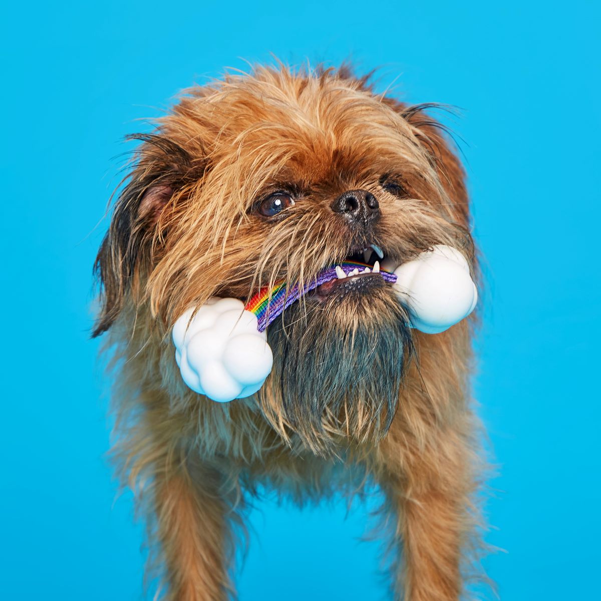 Proud Pup Rainbow Tug Super Chewer Durable Tug Dog Toy - Image 2