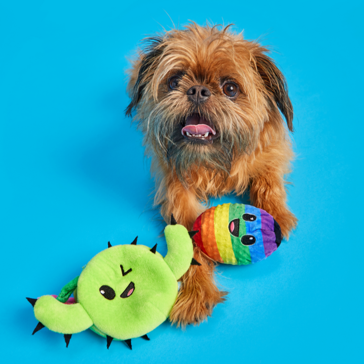 Consuela Comes Out Plush 2-in-1 + Tug Dog Toy - Image 3