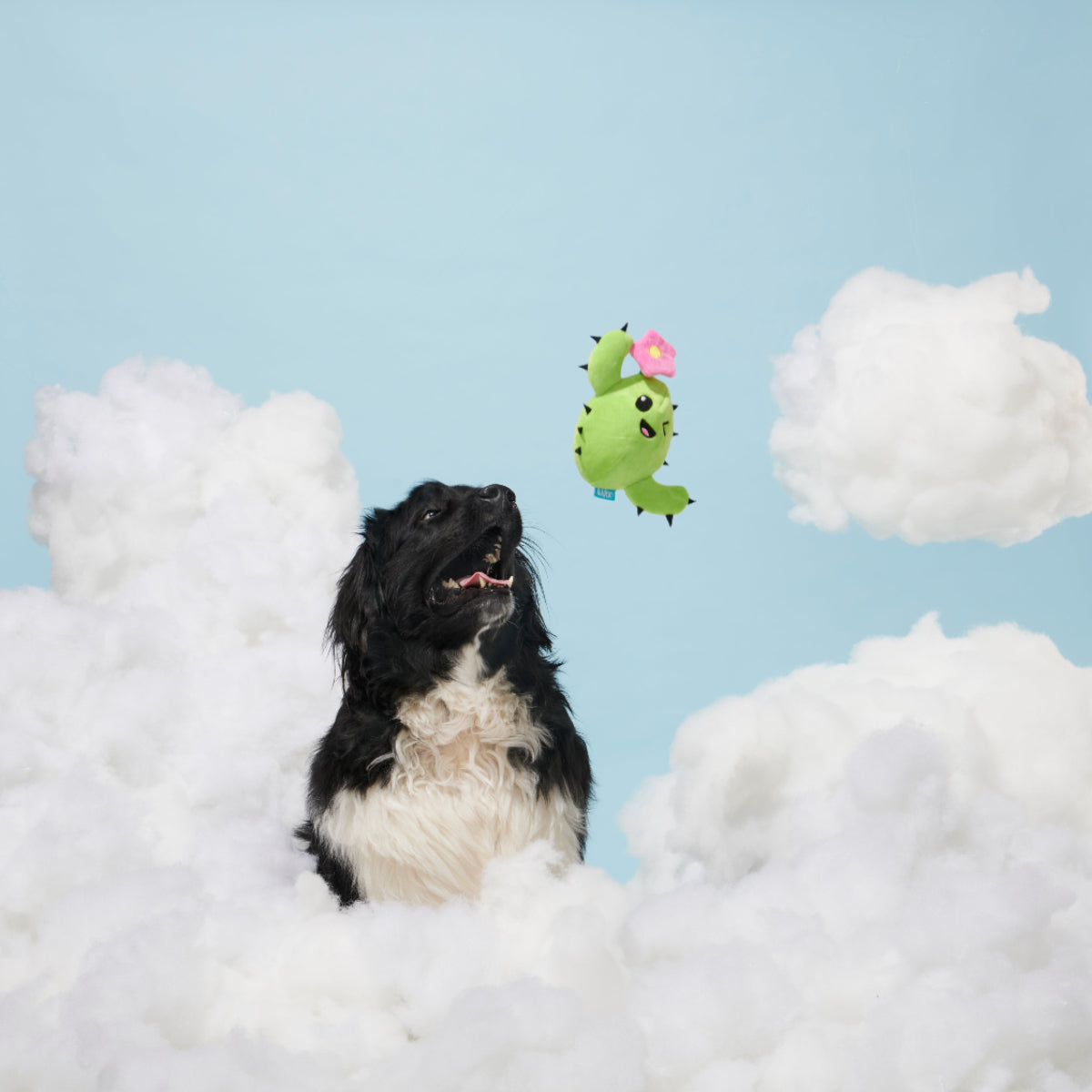 Consuela Comes Out Plush 2-in-1 + Tug Dog Toy - Image 5