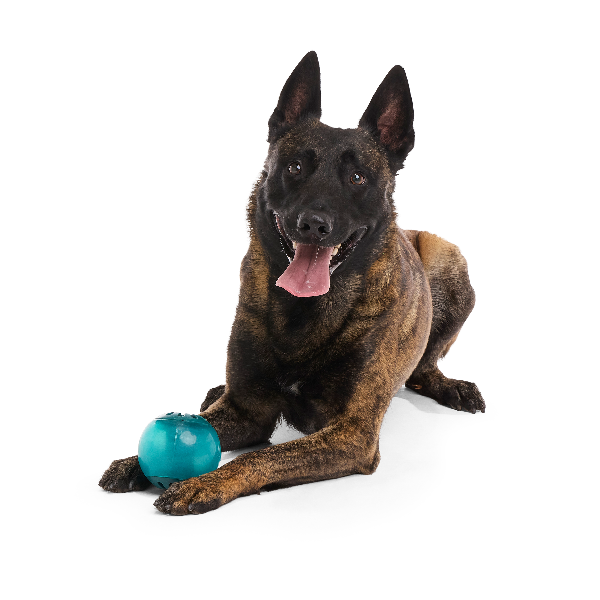 Teal Vortex Super Chewer Durable Enrichment + Fetch Dog Toy - Image 3