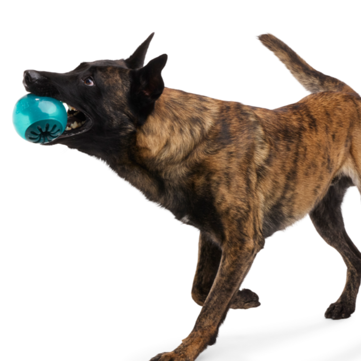 Teal Vortex Super Chewer Durable Enrichment + Fetch Dog Toy - Image 2