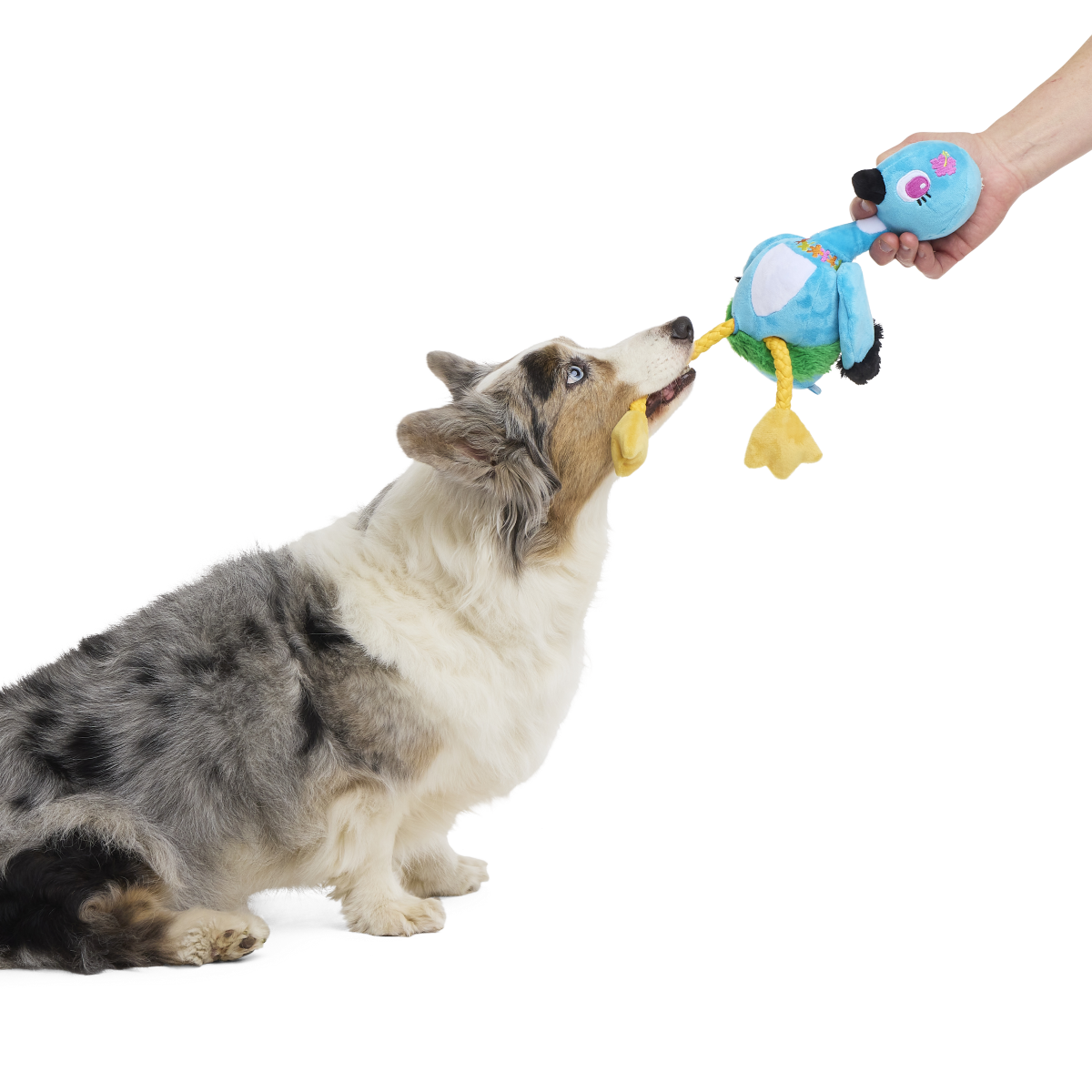 Lele the Nene Goose Plush Tug + Extra-Large Dog Toy - Image 4