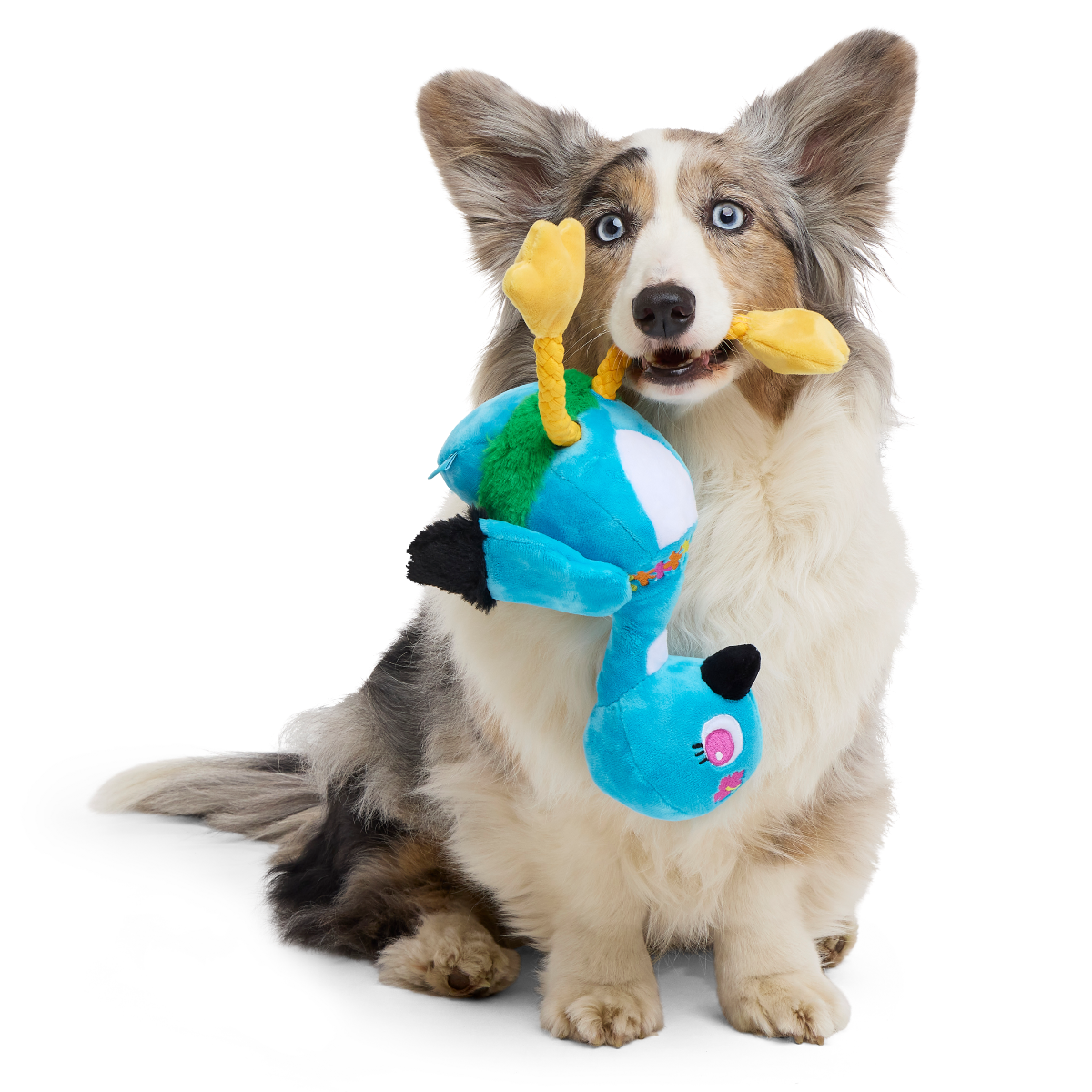 Lele the Nene Goose Plush Tug + Extra-Large Dog Toy - Image 3