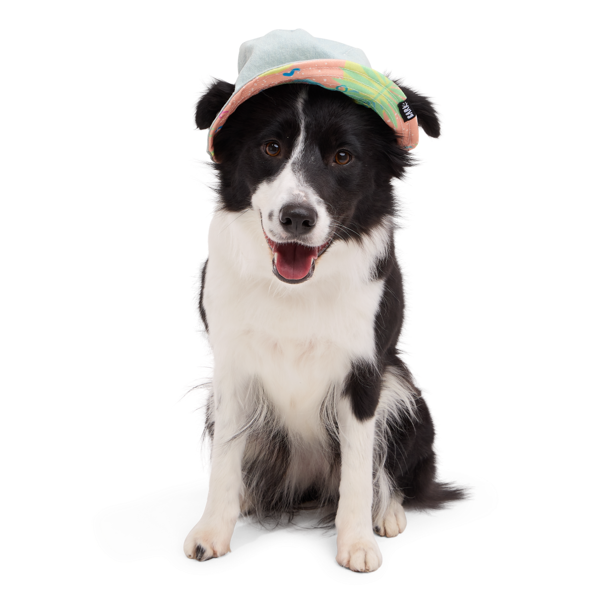 Summertime Reversible Bucket Dog Hat - Image 4