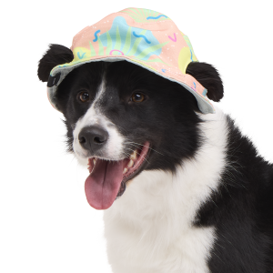 Summertime Reversible Bucket Dog Hat