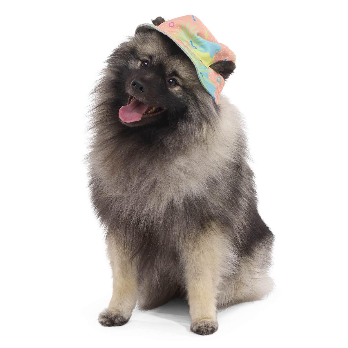 Summertime Reversible Bucket Dog Hat - Image 3