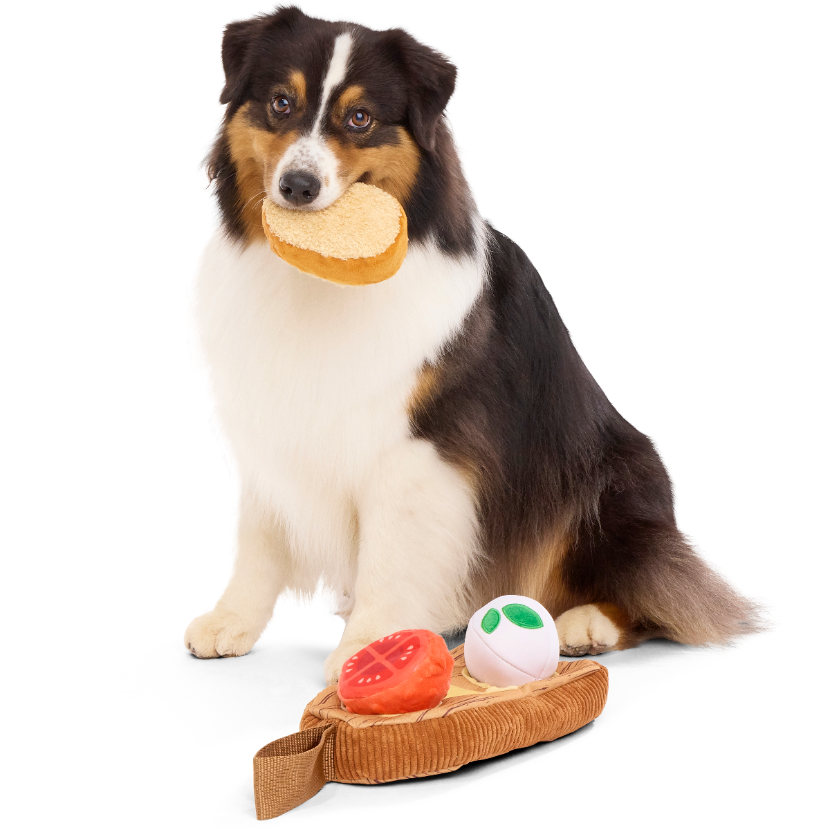 Antipawsto Board Plush Multi-Part + Enrichment Dog Toy - Image 3