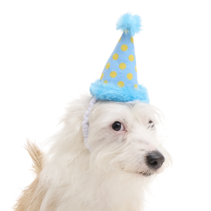 Party Hat Plush Wearable Dog Toy