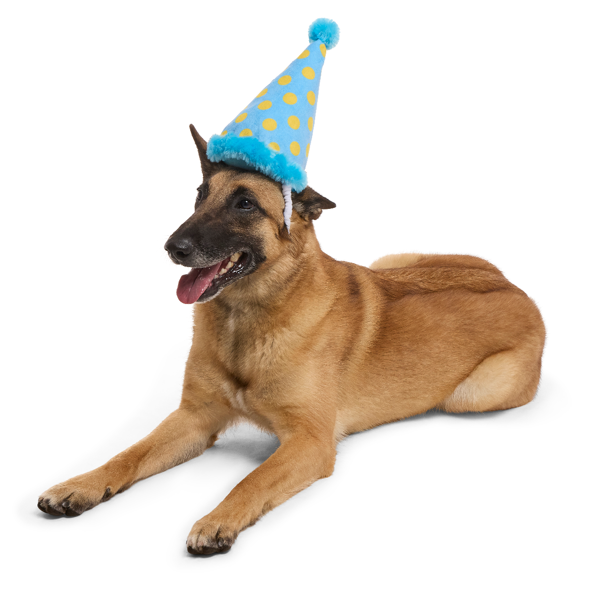 Party Hat Plush Wearable Dog Toy - Image 4