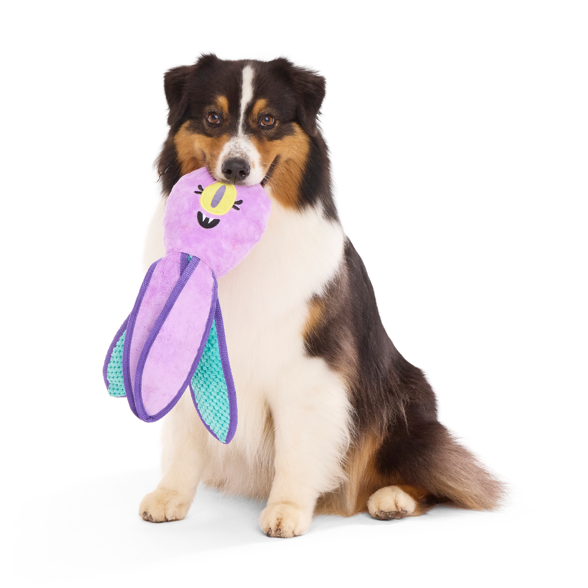 U.F.Ollie Plush Extra-Large + Tug Dog Toy - Image 3