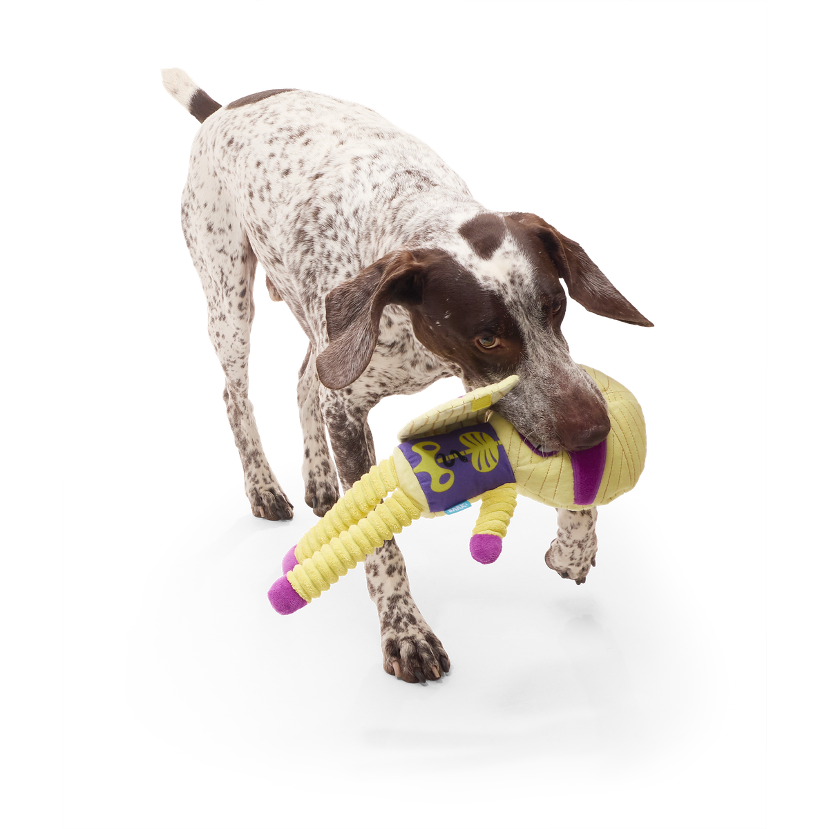 Unravelin' Evan Plush Extra Large + Tug Dog Toy - Image 3