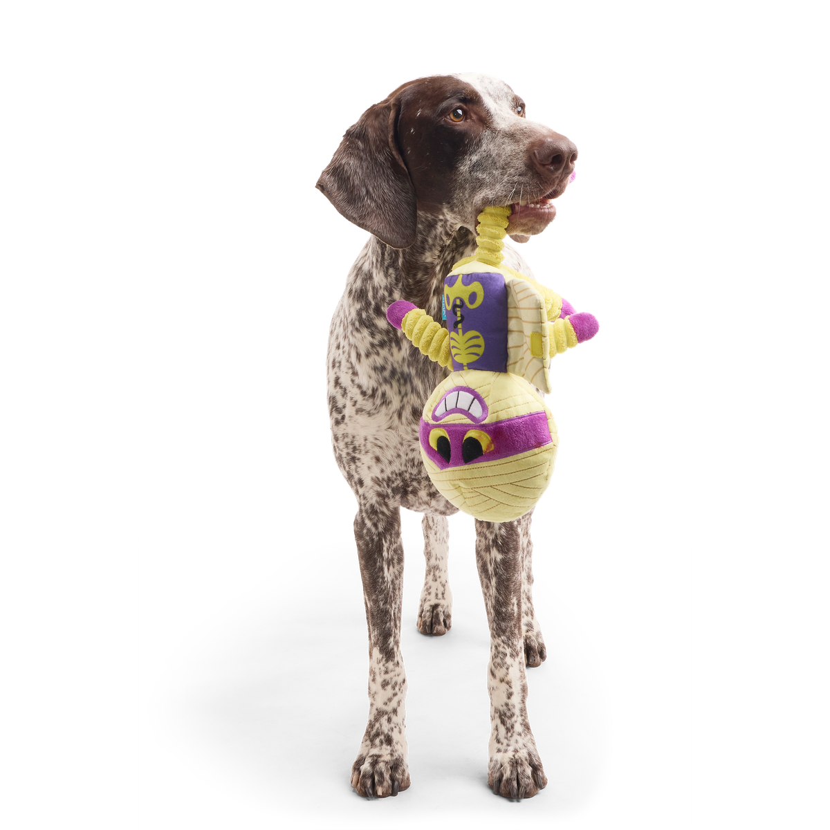 Unravelin' Evan Plush Extra Large + Tug Dog Toy - Image 4