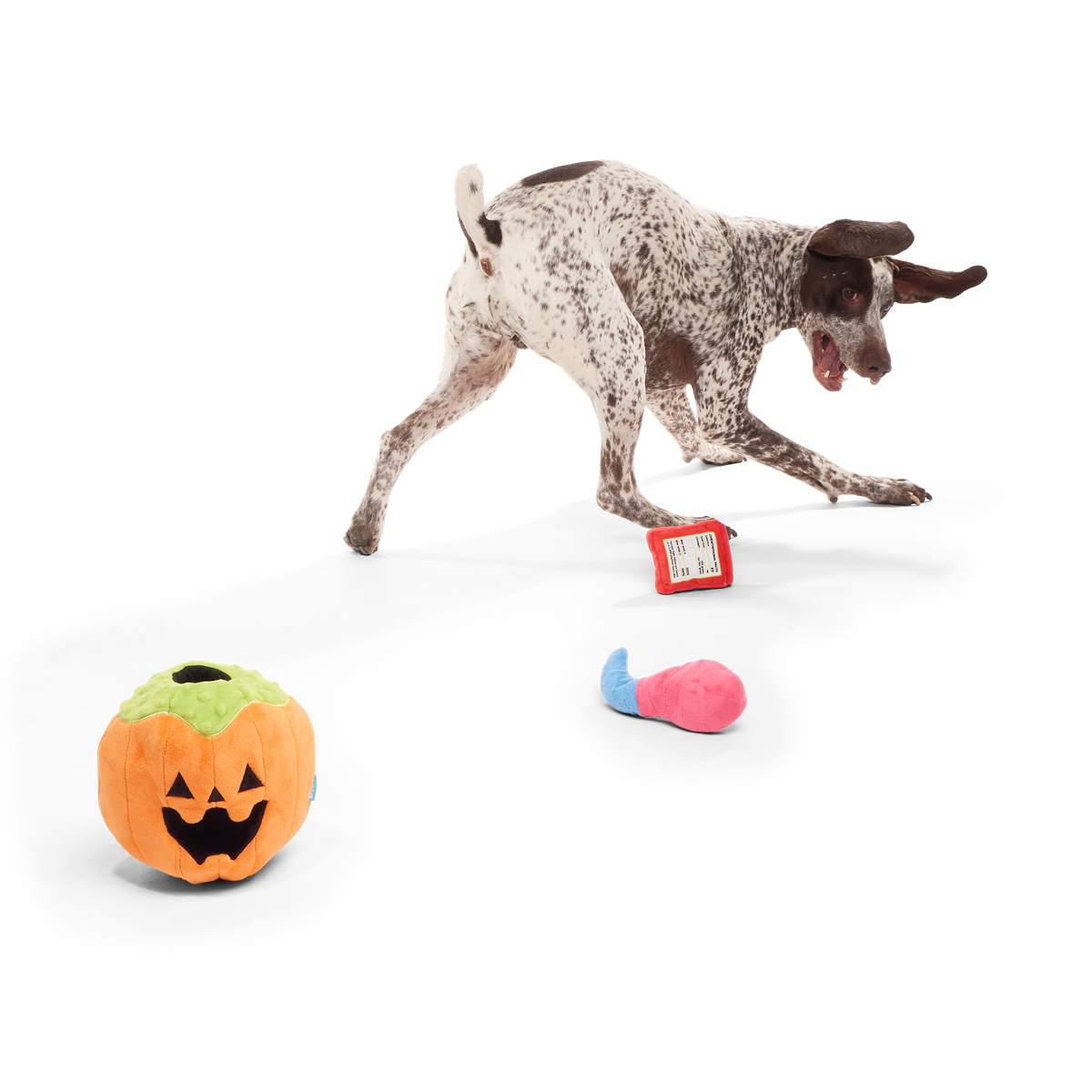 Howl-o-ween Haul Plush Extra-Large + Multi-Part + Enrichment Dog Toy - Image 4