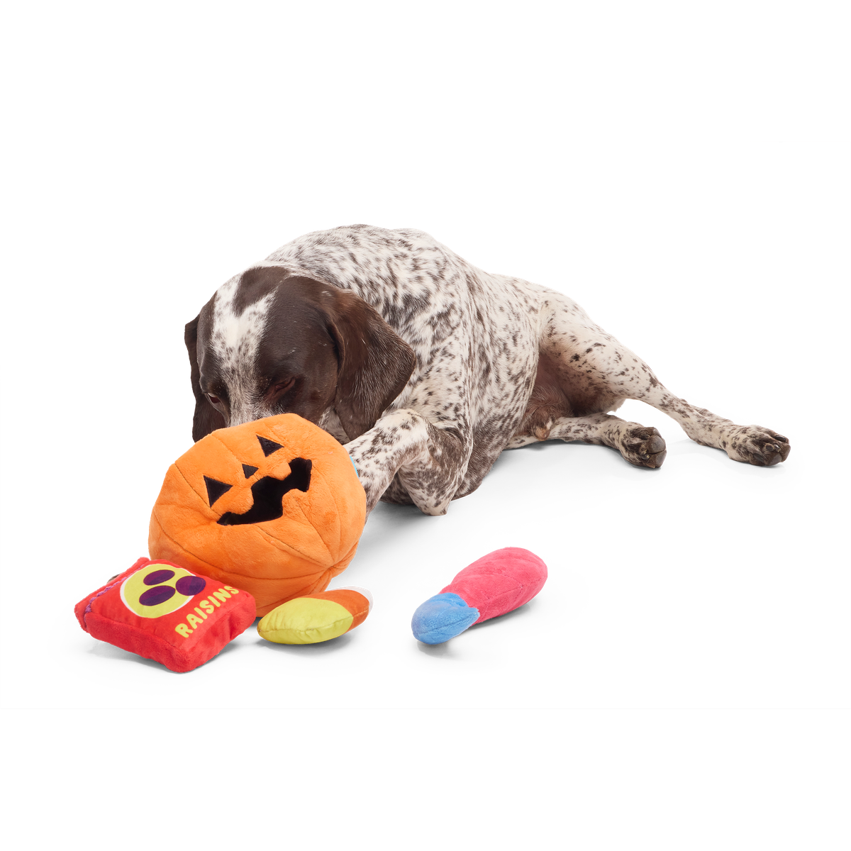 Howl-o-ween Haul Plush Extra-Large + Multi-Part + Enrichment Dog Toy - Image 3