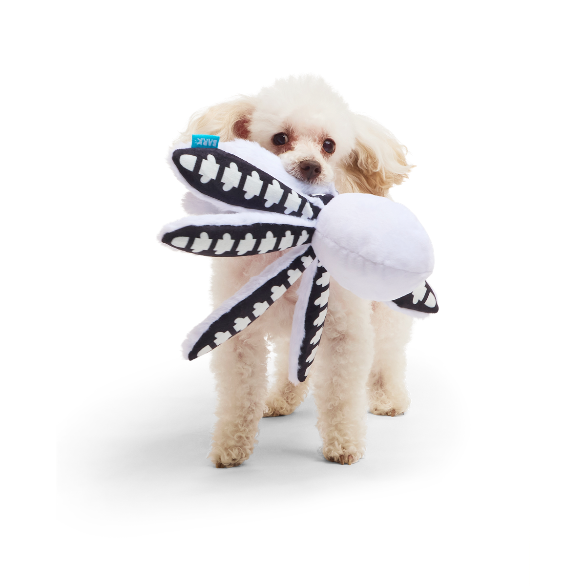 Sk-Ollie-Ton Plush Tug Dog Toy - Image 2