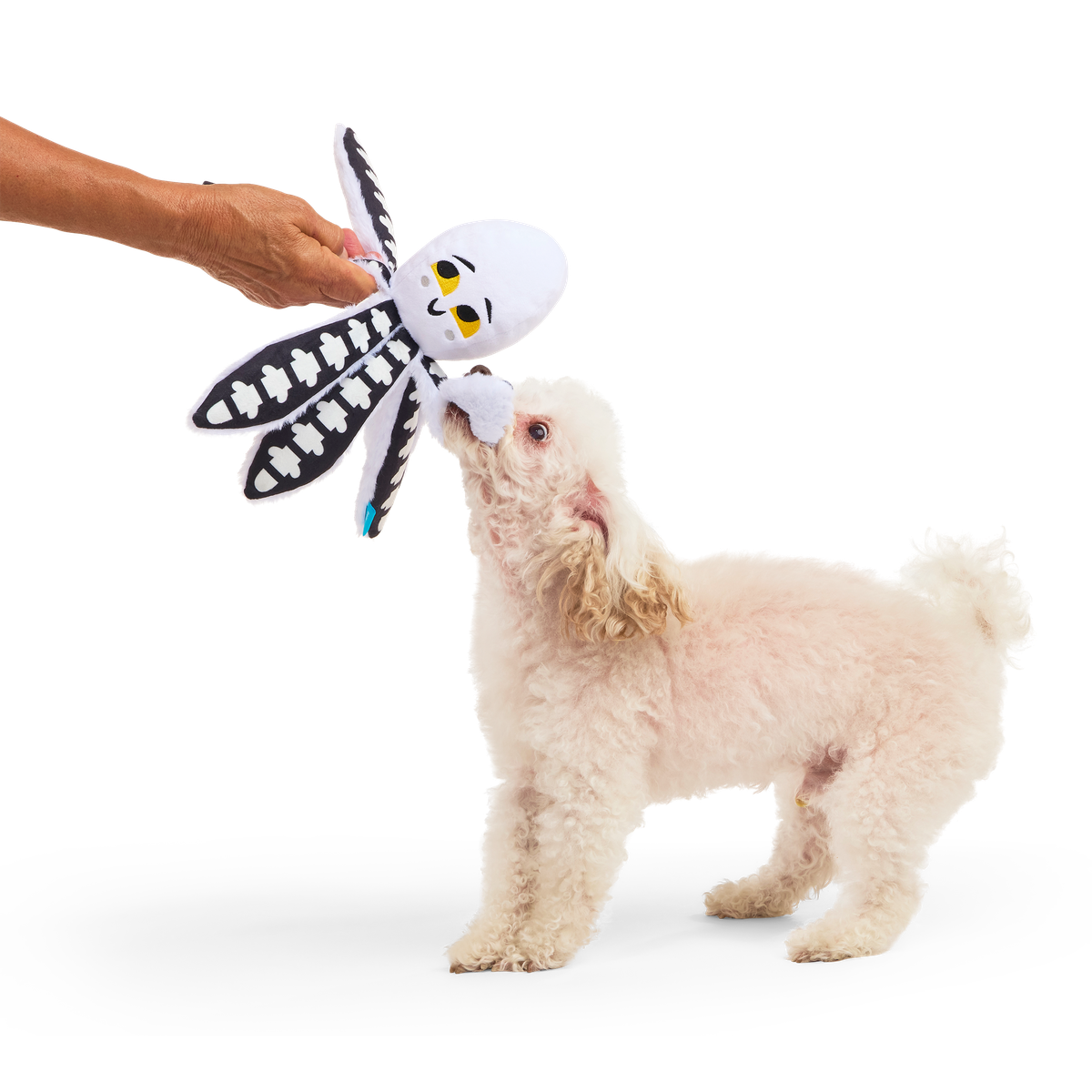 Sk-Ollie-Ton Plush Tug Dog Toy - Image 3