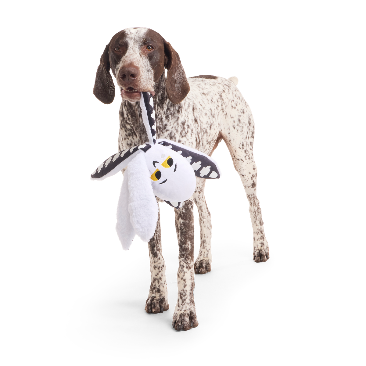Sk-Ollie-Ton Plush Tug Dog Toy - Image 5