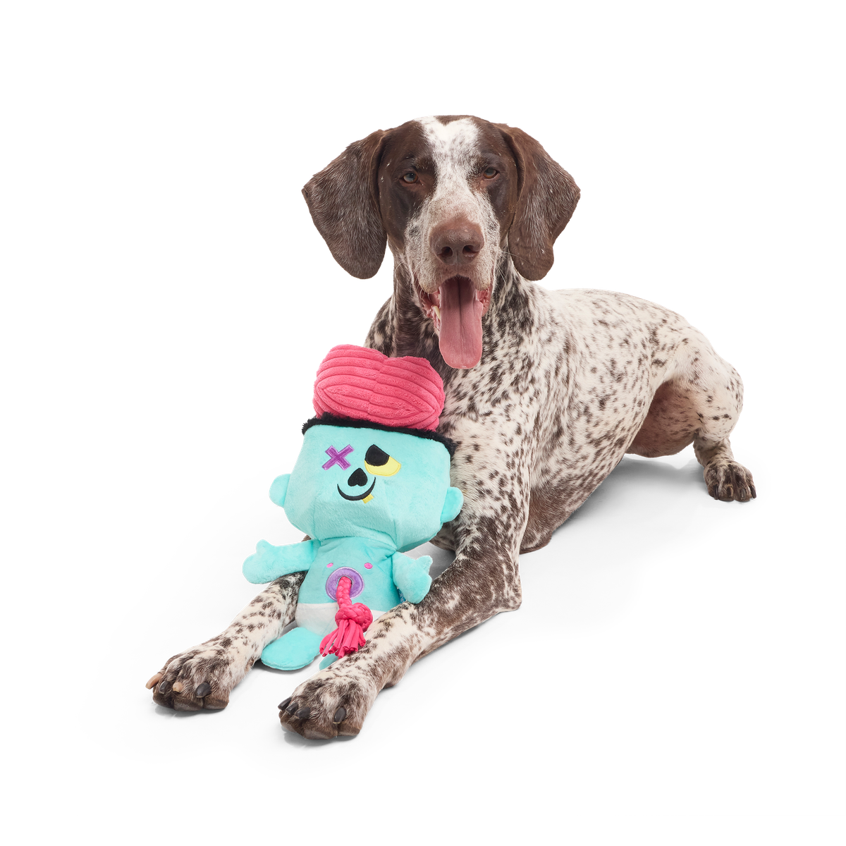 Ghoul-Ghoul Ga-Ga Plush Tug Dog Toy - Image 3