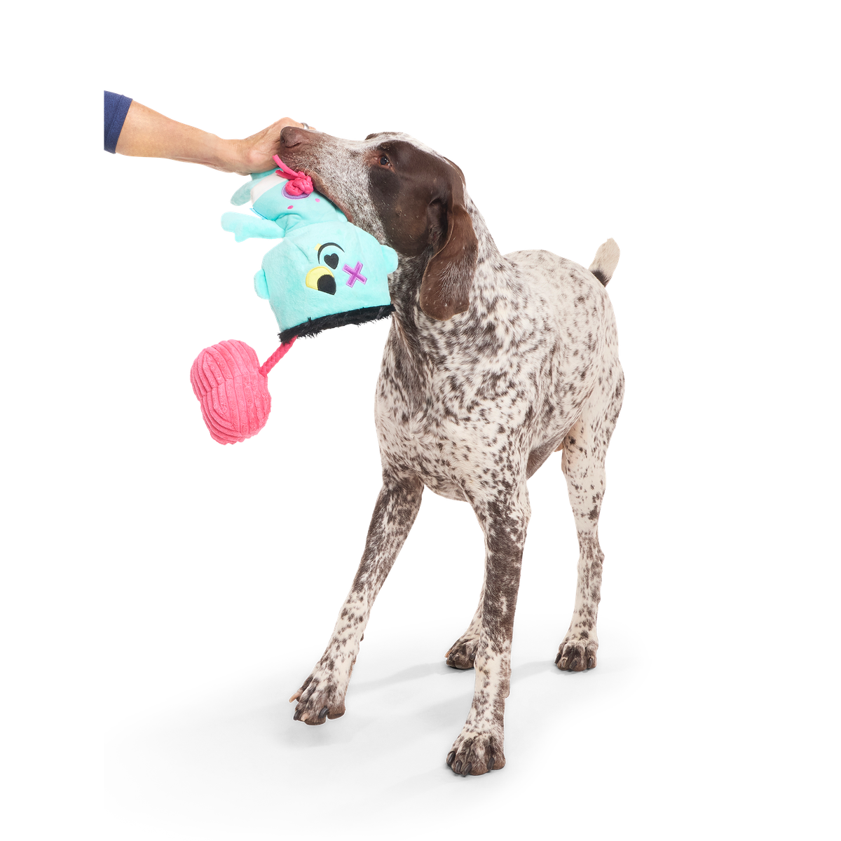 Ghoul-Ghoul Ga-Ga Plush Tug Dog Toy - Image 4