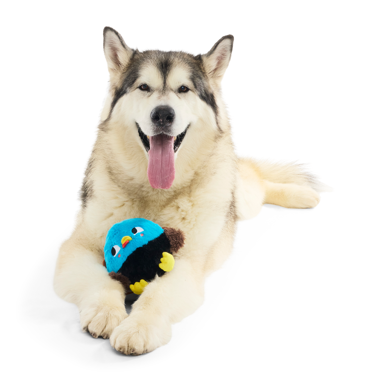 The Pecking Order Plush Multi-Part Dog Toy - Image 6