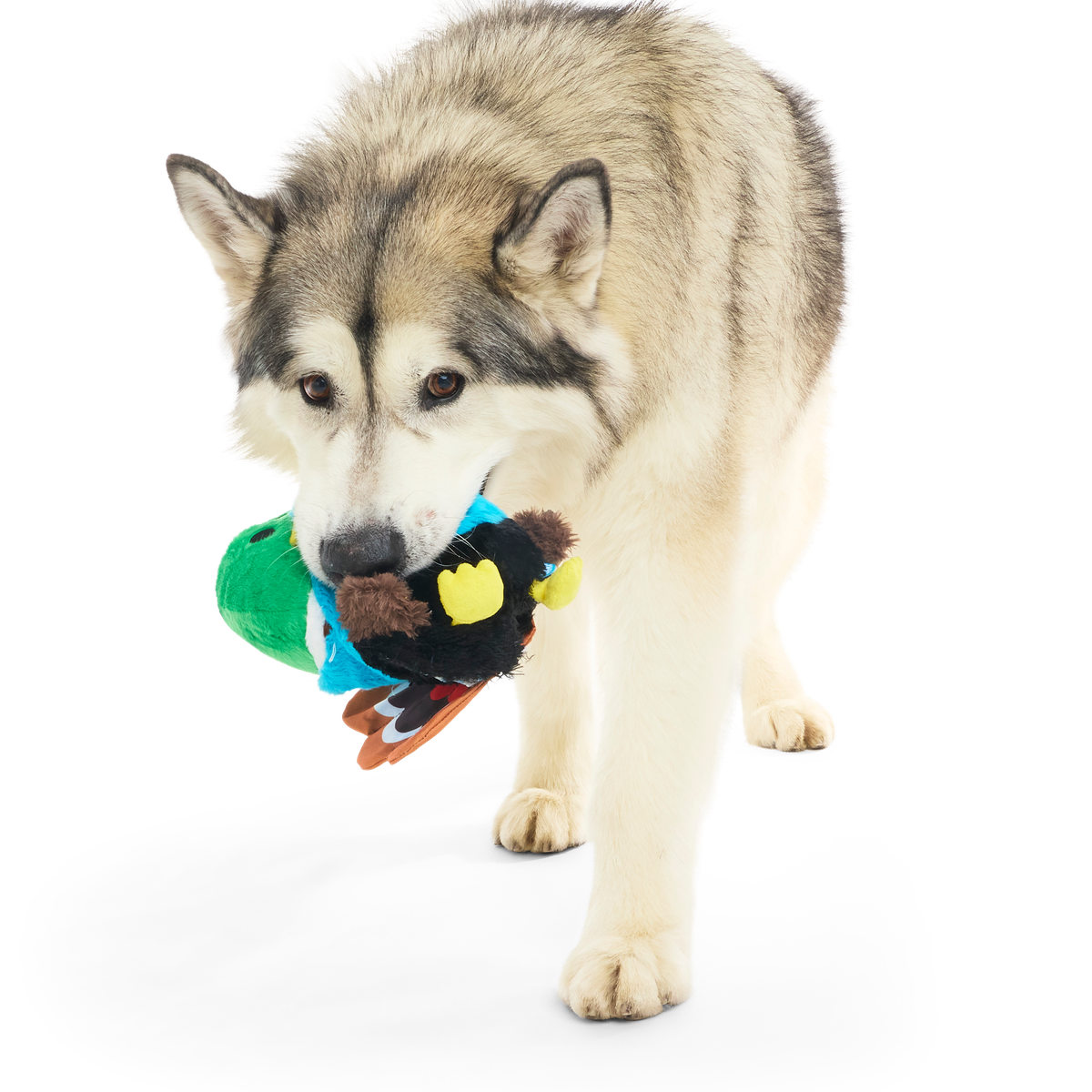 The Pecking Order Plush Multi-Part Dog Toy - Image 7