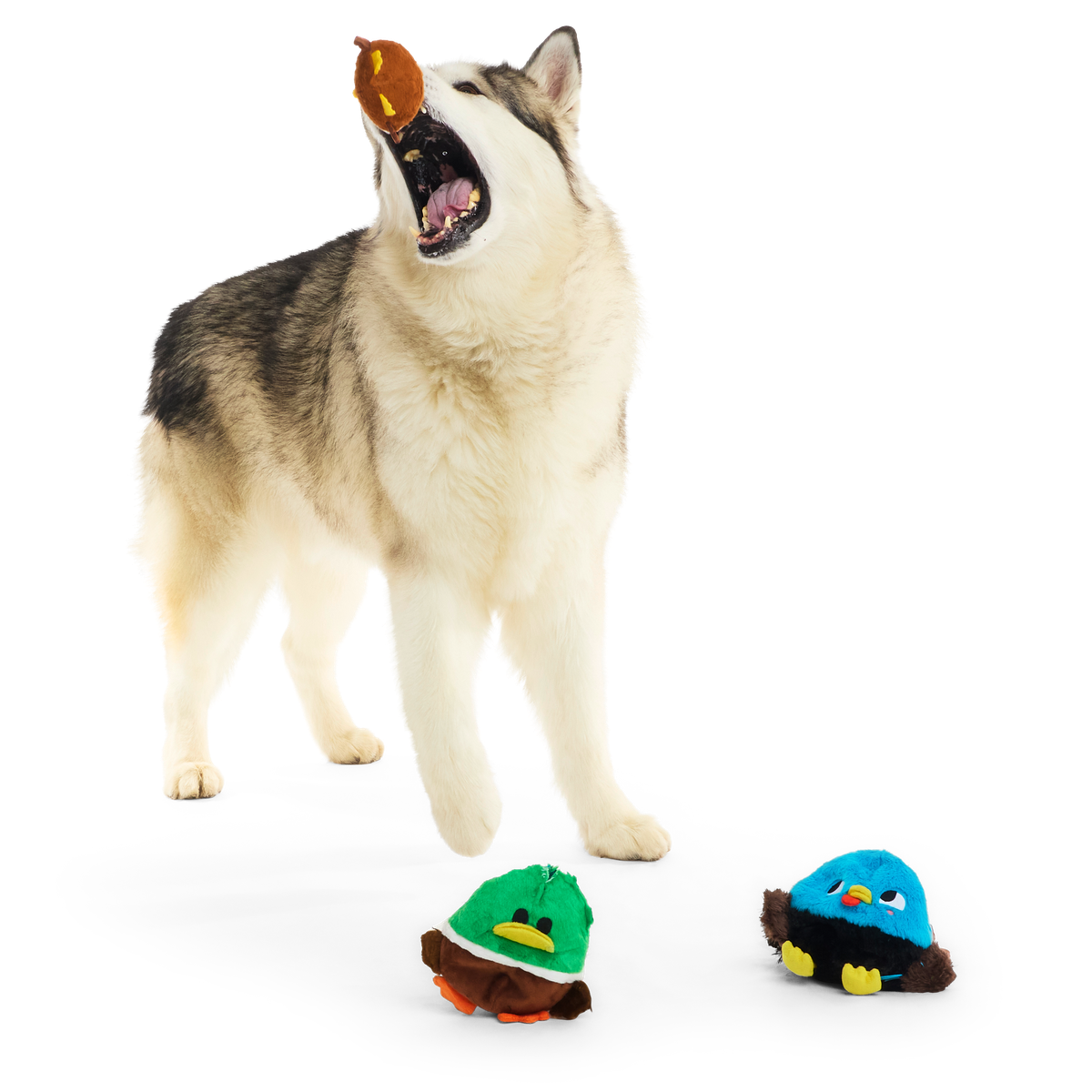 The Pecking Order Plush Multi-Part Dog Toy - Image 8