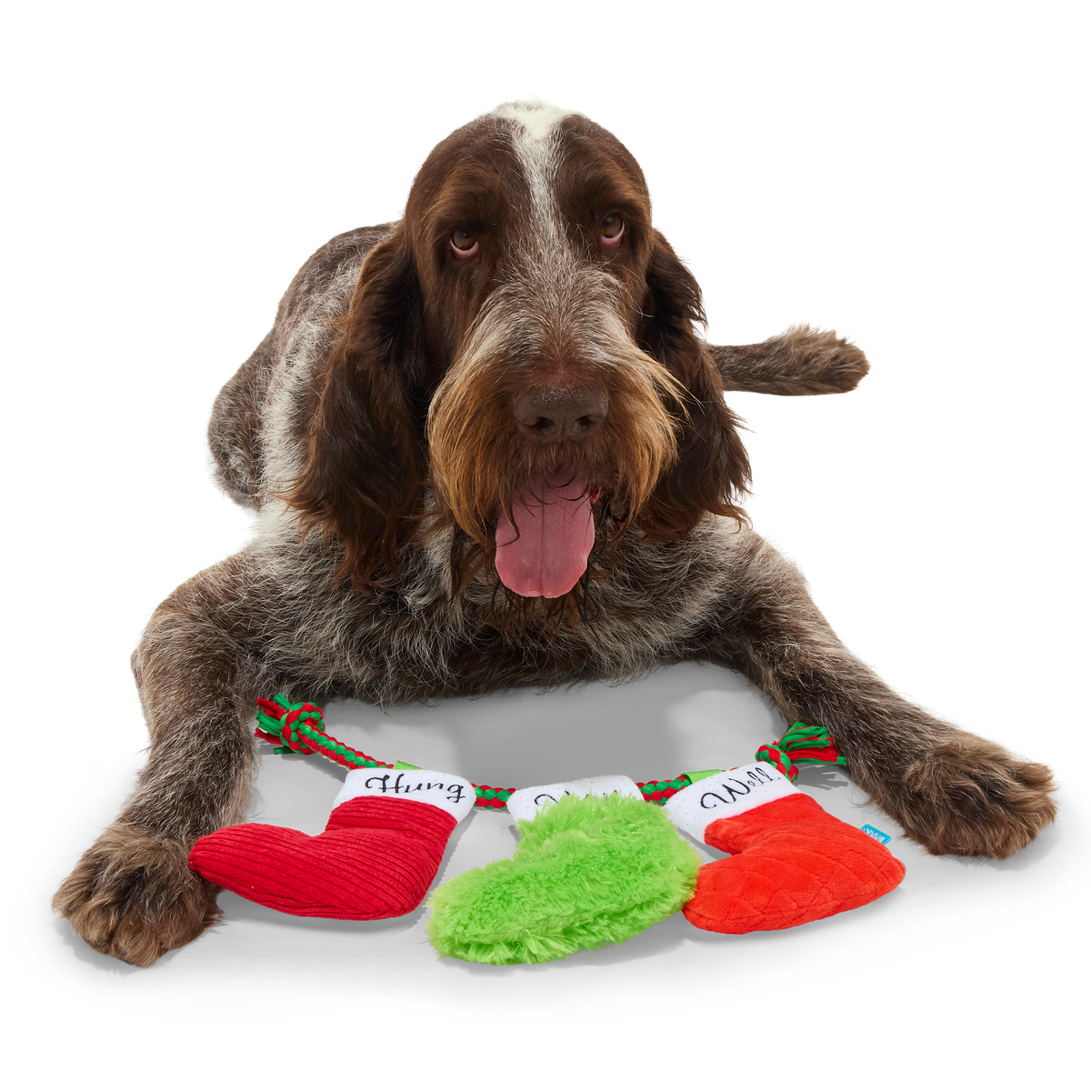 Well Hung Stockings Plush Tug Dog Toy - Image 5