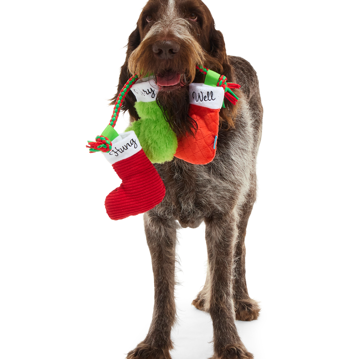Well Hung Stockings Plush Tug Dog Toy - Image 7
