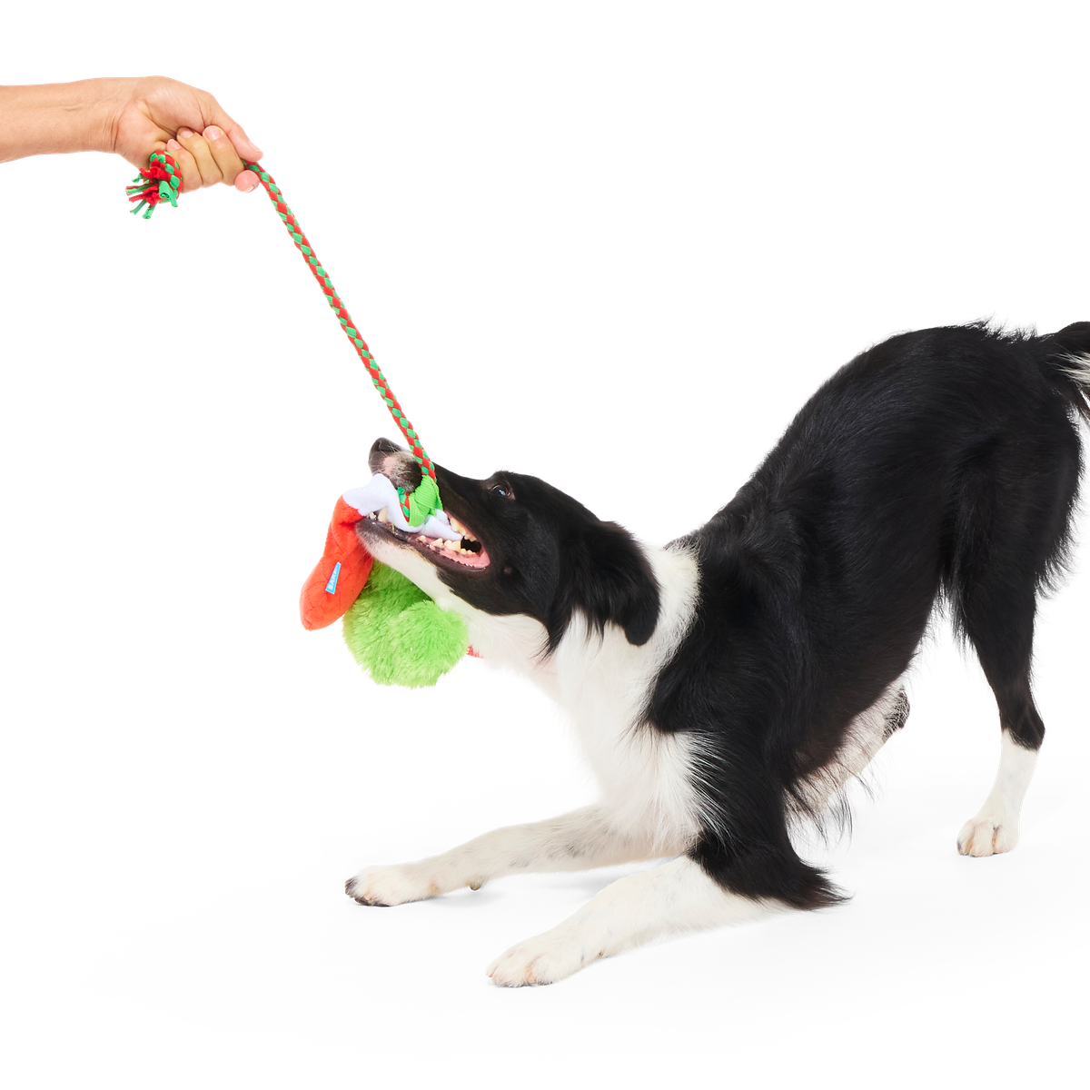Well Hung Stockings Plush Tug Dog Toy - Image 4